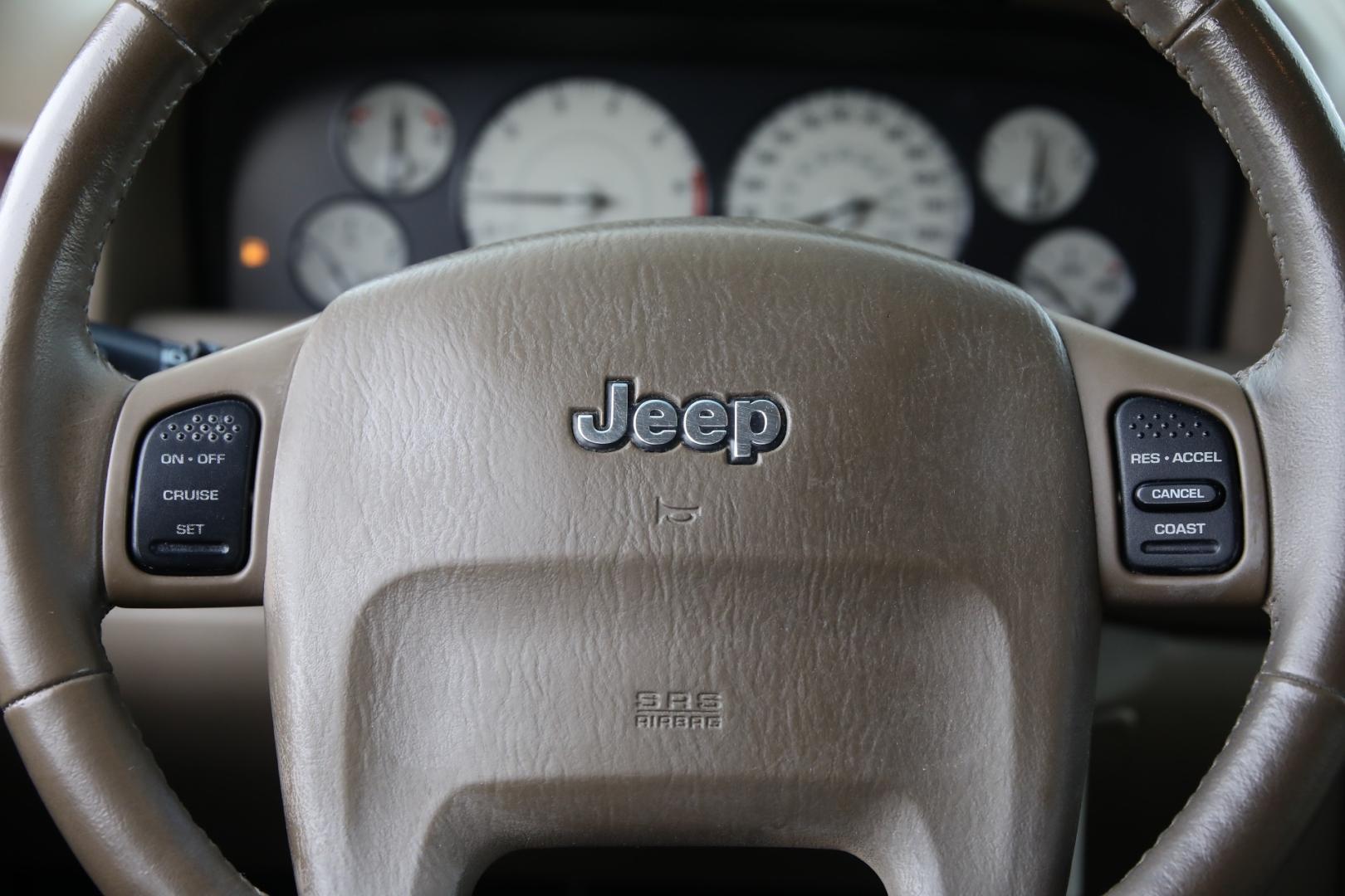2004 PURPLE JEEP GRAND CHEROKEE Limited 2WD (1J8GX58N44C) with an 4.7L V8 SOHC 16V engine, 4-SPEED AUTOMATIC OR 5-SPEED AUTOMATIC transmission, located at 420 E. Kingsbury St., Seguin, TX, 78155, (830) 401-0495, 29.581060, -97.961647 - Photo#12